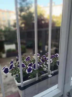 a pot of purple flowers in a window at Apartmány Podol in Prague