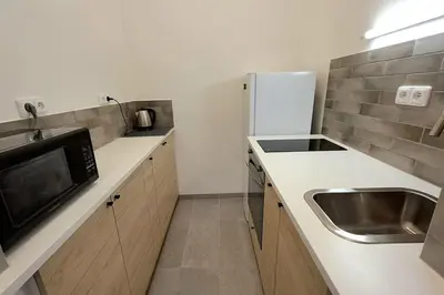 a small kitchen with a sink and a refrigerator at Cozy studio in Prague favorite neighborhood in Prague