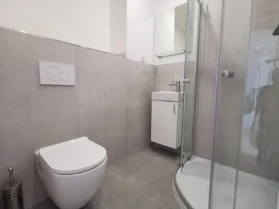 a bathroom with a white toilet and a shower at Cosy and simple well located studio in Prague