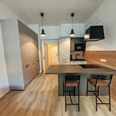 Quiet Studio in Hip Zizkov