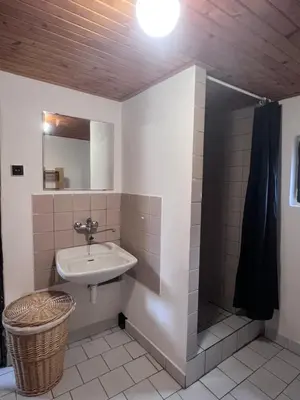 a bathroom with a sink and a mirror at Chata Roda s vnitřní saunou in Rabyně