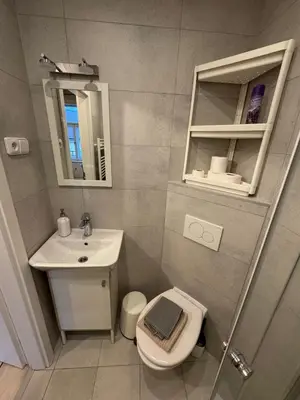 a bathroom with a sink and a toilet and a mirror at Small studio in hipster neighborhood in Prague