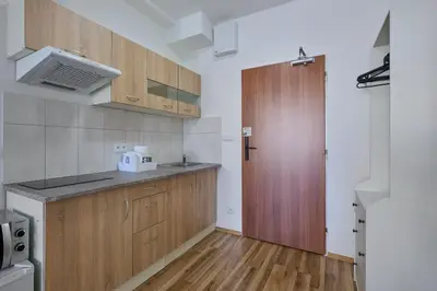 a small kitchen with wooden cabinets and a door at MIRA apartments in Prague