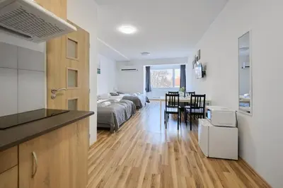 a kitchen and living room with a bed and a table at MIRA apartments in Prague