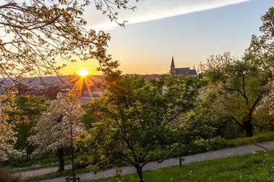 a view of the sunset from a park with trees at Sunset & Bloom Attic - Near parks & cafés in Prague