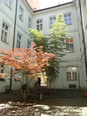 a tree in front of a building with a bench at Central two floor flat by Charles Bridge in Prague