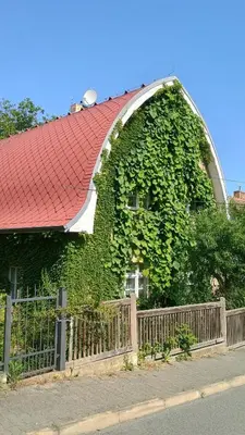 a bathroom with a toilet and a sink at Green Point - 25 min to the center by tram in Prague