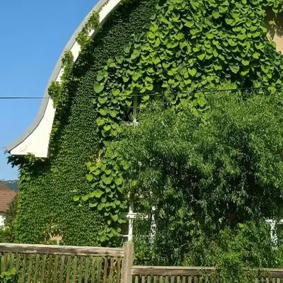 Green Point - 25 min to the center by tram