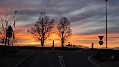a road with trees and a sunset in the background at Apartment Drahuska in Prague