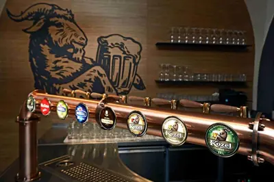 a bar with a lions head on the wall at Hotel u Ledu in Velké Popovice