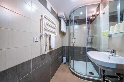 a bathroom with a sink and a glass shower at Hotel u Ledu in Velké Popovice