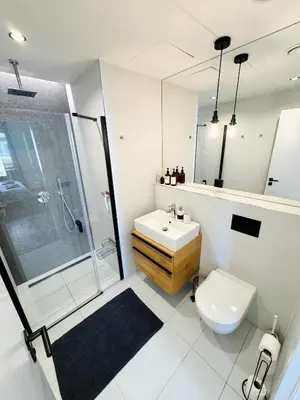 a bathroom with a sink and a shower and a toilet at Lengo Apartment Smichov in Prague