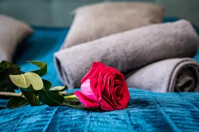 a red rose sitting on top of a bed at Elvis Deluxe Suite in Prague