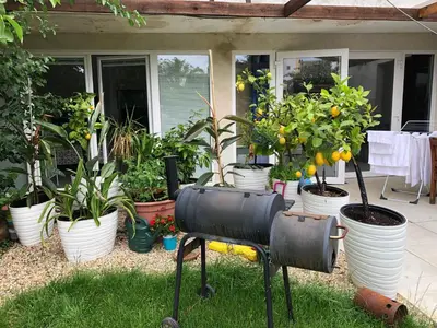 a garden with potted plants and a grill in the grass at Apartmány na náměstí - Kounice in Kounice