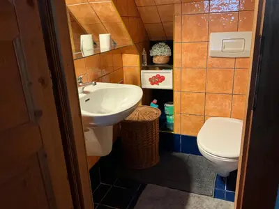 a small bathroom with a sink and a toilet at Apartmány na náměstí - Kounice in Kounice