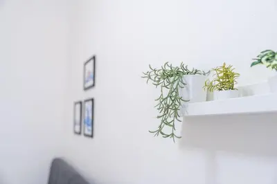 a shelf with potted plants on a white wall at Crystal Apartment in Center of Prague in Prague