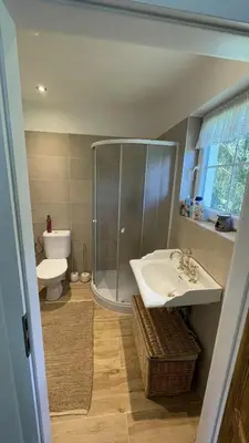 a bathroom with a shower and a sink and a toilet at Chata Družec in Družec