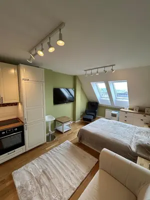 a large bedroom with a bed and a tv at Pistachio Apartment National Museum View in Prague