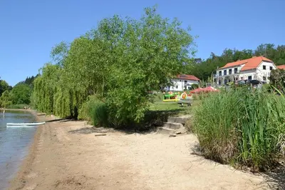 a row of trees on the shore of a river at Župky in Županovice