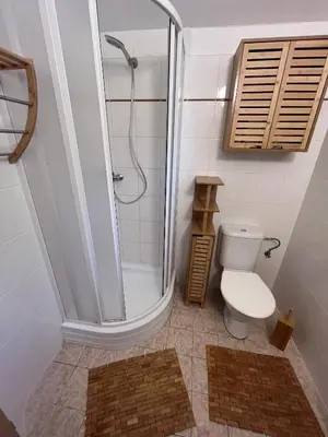 a bathroom with a shower and a toilet at Župky in Županovice