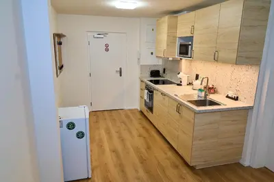 a small kitchen with a sink and a refrigerator at Čenětická Apartment in Prague
