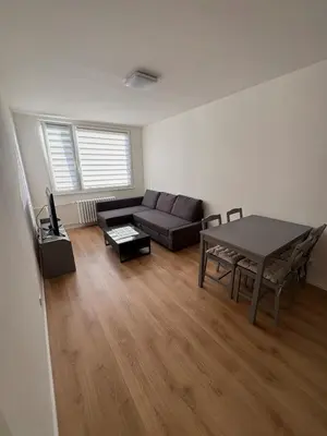 a living room with a couch and a table at Čenětická Apartment in Prague