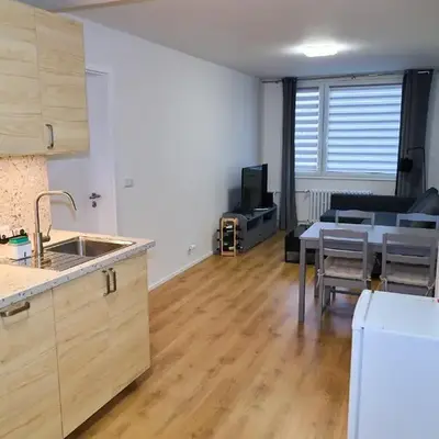 Čenětická Apartment
