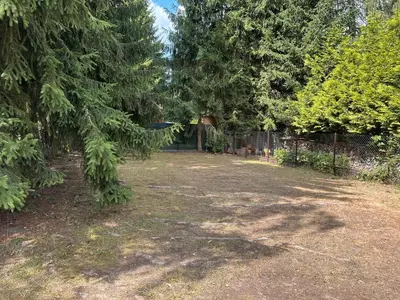 an empty yard with trees and a fence at Solo tábořiště, kemp u vody, Nová Živohošť in Křečovice