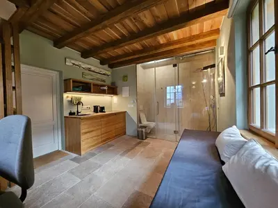 a bathroom with a shower and a couch in a room at Bijou house in a private garden! in Prague