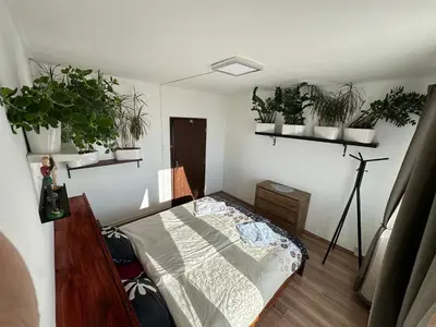 a bedroom with potted plants on the walls at Jungle style 2 lockable bedrooms, 10 mins to center, top floor balcony with Prague view, king-size bed, high speed Internet, coffee in Prague