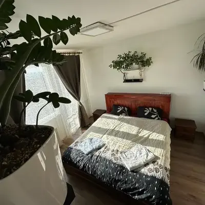 Jungle style 2 lockable bedrooms