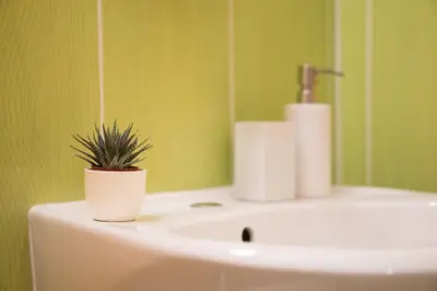 a bathroom with a sink with a potted plant on it at Penzion Staré Louny in Louny