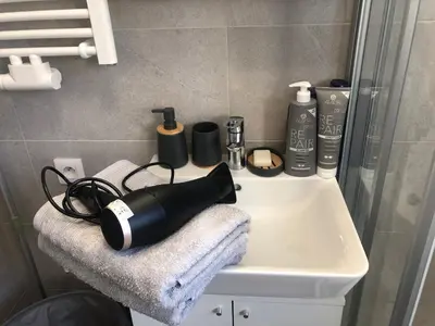 a bathroom with a shower and a sink and a toilet at Cozy Apartment Prague Airport- 5 minute drive from AirPort in Tuchoměřice