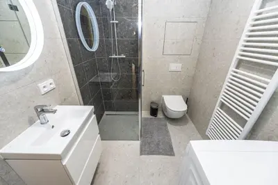 a bathroom with a shower and a sink and a toilet at Apartments Ripska in Prague