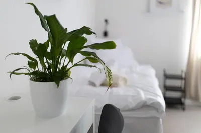 two beds in a bedroom with white sheets and windows at Hotel Sport Houštka