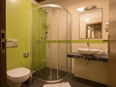 a bathroom with a shower and a toilet and a sink at Olivův Pivovar in Dolní Břežany