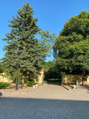 a tree and a street light in a park at Caravan on farm