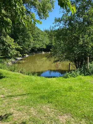a small river with trees and green grass at Caravan on farm