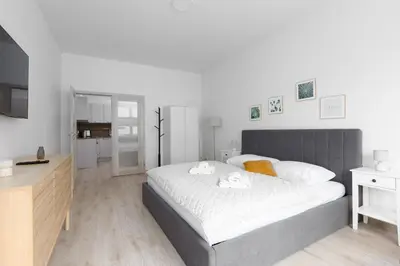 a bedroom with a large bed and a television at Apartment with 2 bedrooms with kitchen near metro in Prague