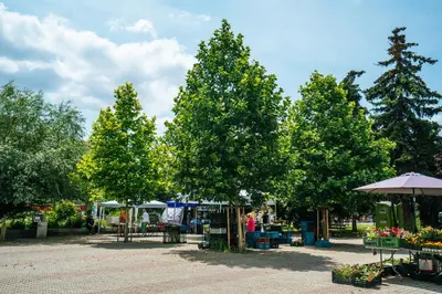 a group of trees at an outdoor market at Blue Apartment - Vršovice in Prague