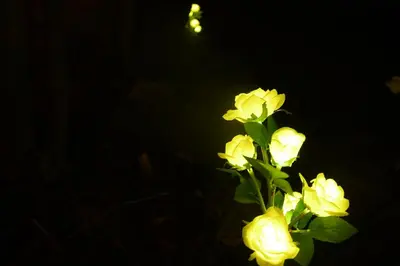 a group of yellow flowers in a vase at 01 JURTA šedá u stodoly