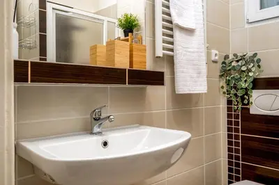 a bathroom with a sink and a mirror at Botanica Suite Prague in Prague