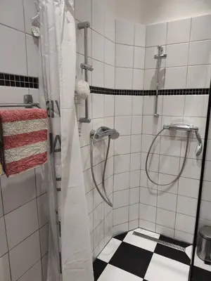 a bathroom with a shower with a black and white floor at Prague-2 Vinohrady Apartment in Prague
