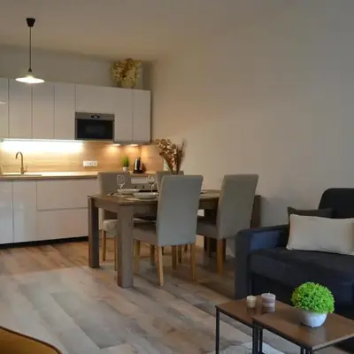 Apartmán u Fontány 2-free parking