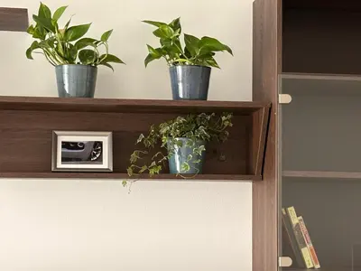 three potted plants sitting on a wooden shelf at UrbanFlat1615 with Parking in Prague
