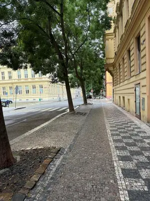 a cobblestone street with trees on the side of a building at Atelier in the Heart of Karlín in Prague