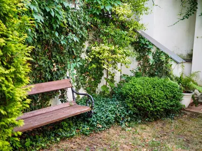 a wooden bench sitting in front of a hedge at Hotel 16 & Apartments Prague City Living in Prague