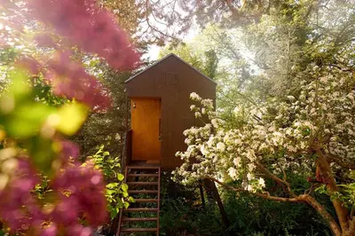 a small building with a ladder in a garden with flowers at Escape to the Czech Republic in this Wonderful Tree House in Nature in Prague