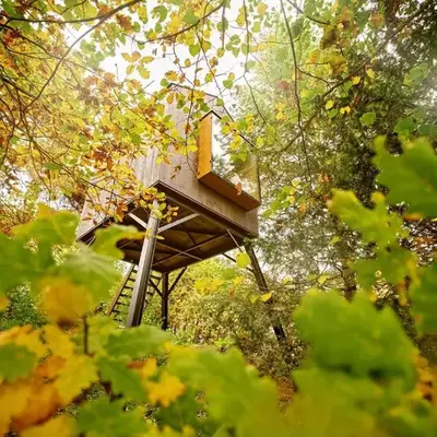 Escape to the Czech Republic in this Wonderful Tree House in Nature