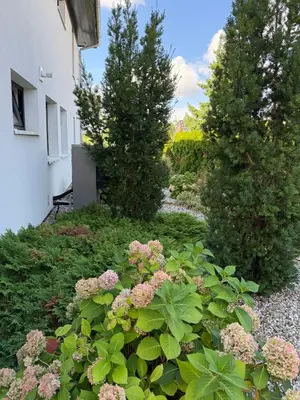a garden with pink flowers and trees next to a building at Luxury Prague House in Herink